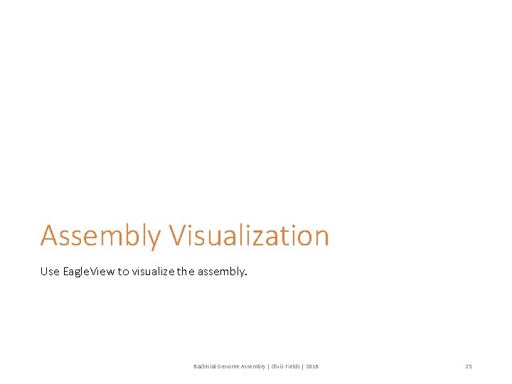 Assembly Visualization Use Eagle. View to visualize the assembly. Bacterial Genome Assembly | Chris