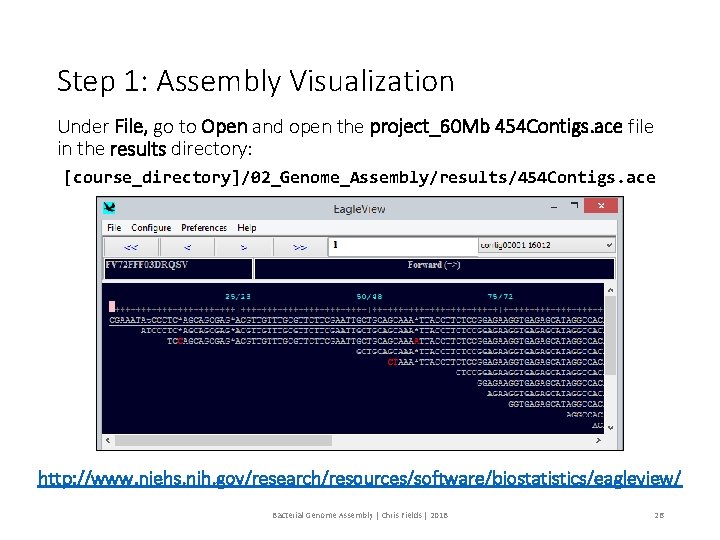 Step 1: Assembly Visualization Under File, go to Open and open the project_60 Mb