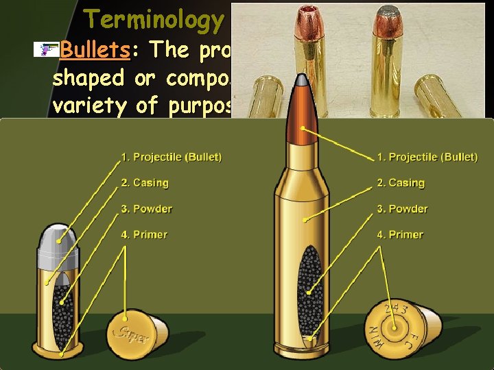 Terminology Bullets: The projectile. They are shaped or composed differently for a variety of