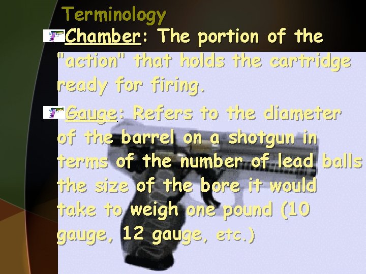 Terminology Chamber: The portion of the "action" that holds the cartridge ready for firing.