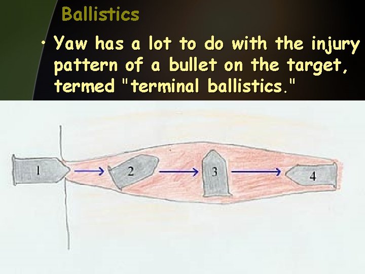 Ballistics • Yaw has a lot to do with the injury pattern of a