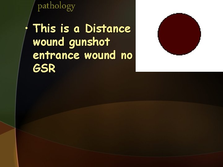 pathology • This is a Distance wound gunshot entrance wound no GSR 