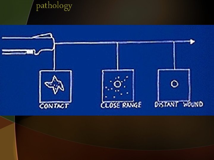 pathology • 