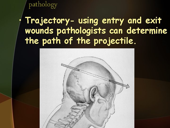 pathology • Trajectory- using entry and exit wounds pathologists can determine the path of