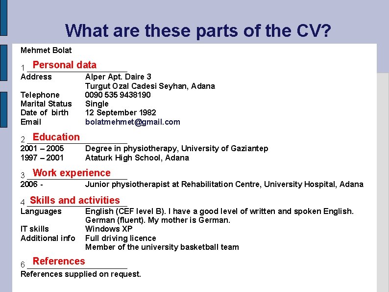 What are these parts of the CV? Mehmet Bolat Personal data 1 ____________ Address