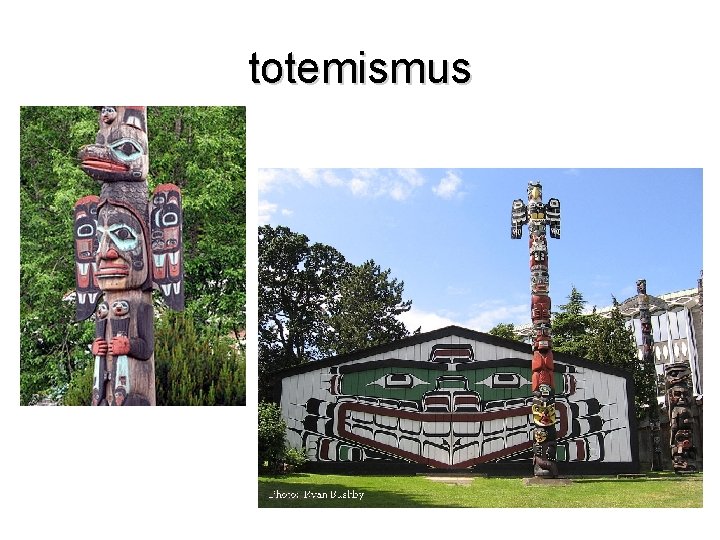 totemismus 