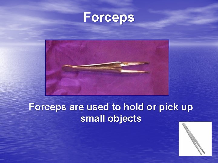 Forceps are used to hold or pick up small objects 
