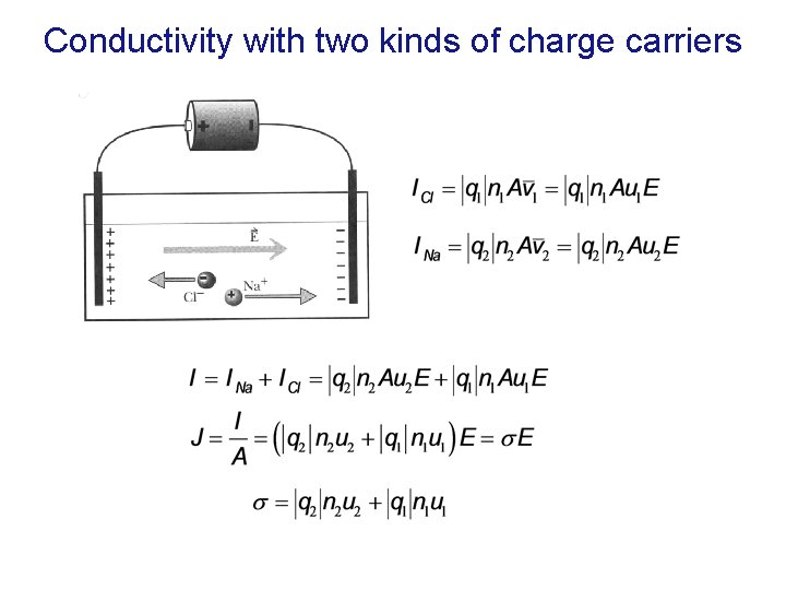 Conductivity with two kinds of charge carriers 