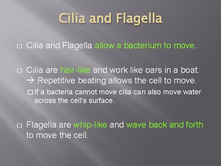 Cilia and Flagella � Cilia and Flagella allow a bacterium to move. � Cilia Cilia and Flagella � Cilia and Flagella allow a bacterium to move. � Cilia