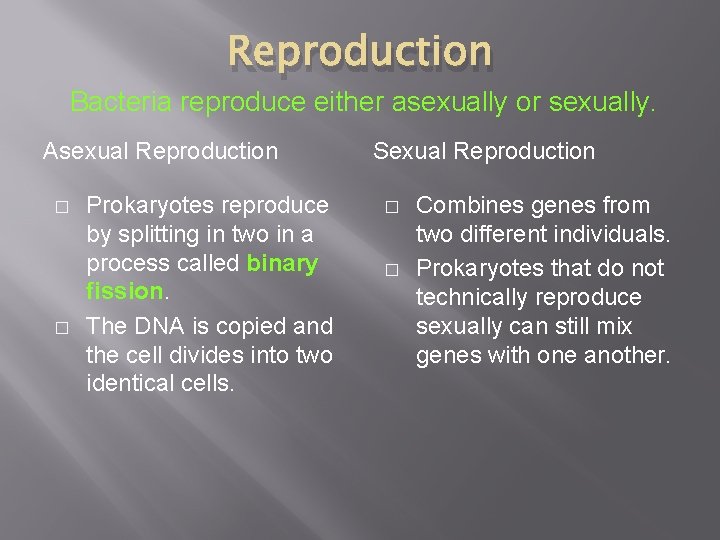 Reproduction Bacteria reproduce either asexually or sexually. Asexual Reproduction � � Prokaryotes reproduce by