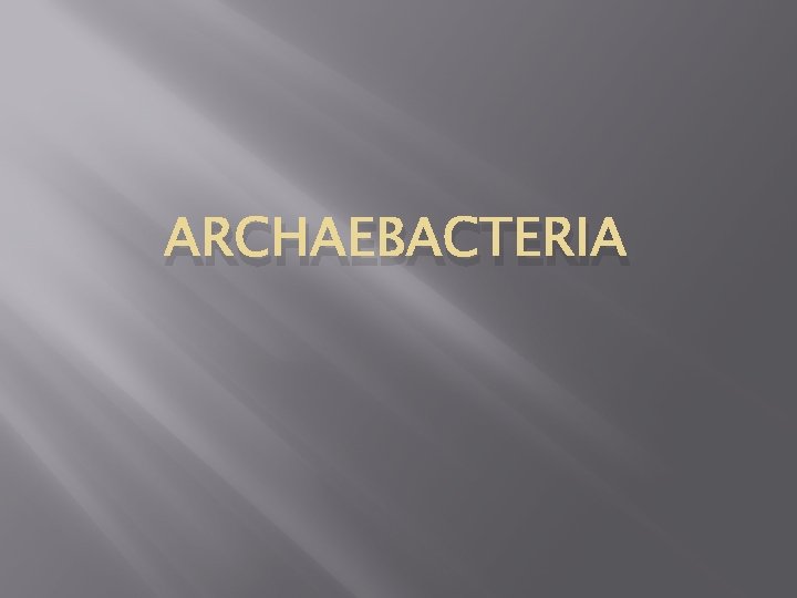 ARCHAEBACTERIA ARCHAEBACTERIA