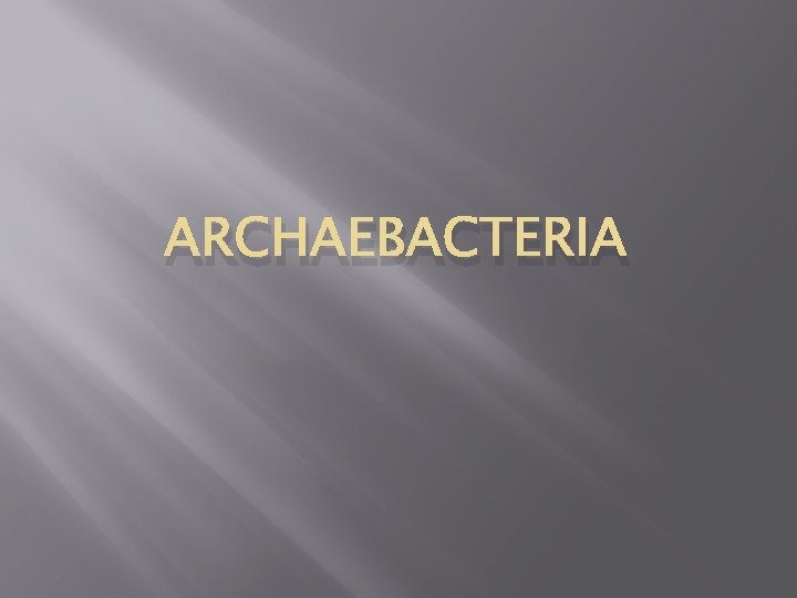 ARCHAEBACTERIA 