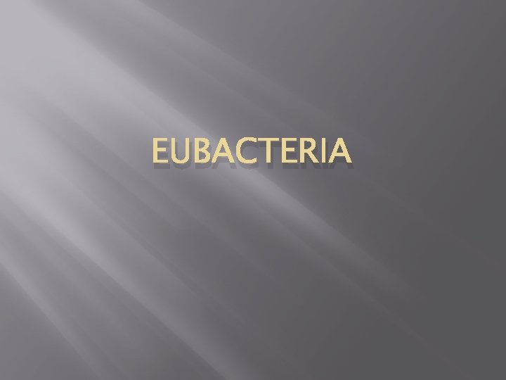 EUBACTERIA 