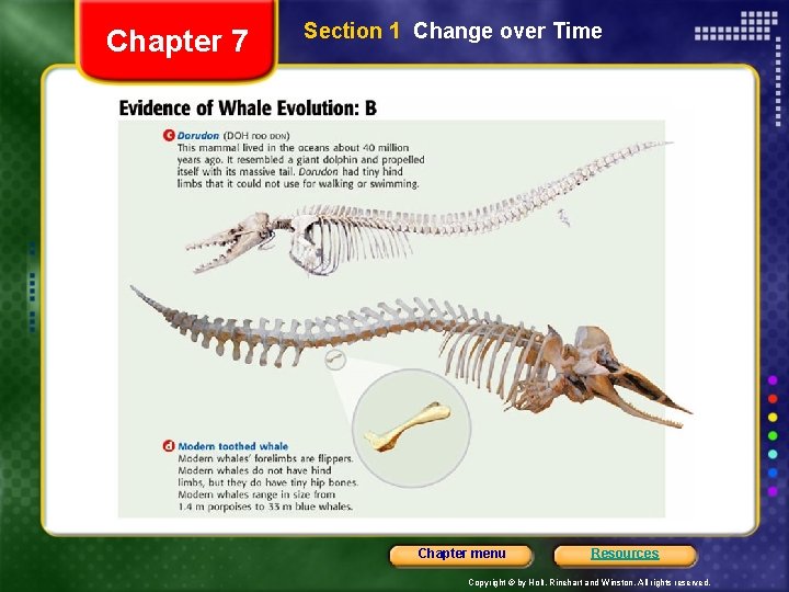 Chapter 7 Section 1 Change over Time Chapter menu Resources Copyright © by Holt,