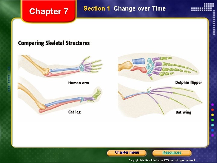 Chapter 7 Section 1 Change over Time Chapter menu Resources Copyright © by Holt,