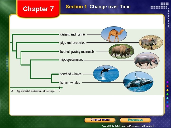 Chapter 7 Section 1 Change over Time Chapter menu Resources Copyright © by Holt,