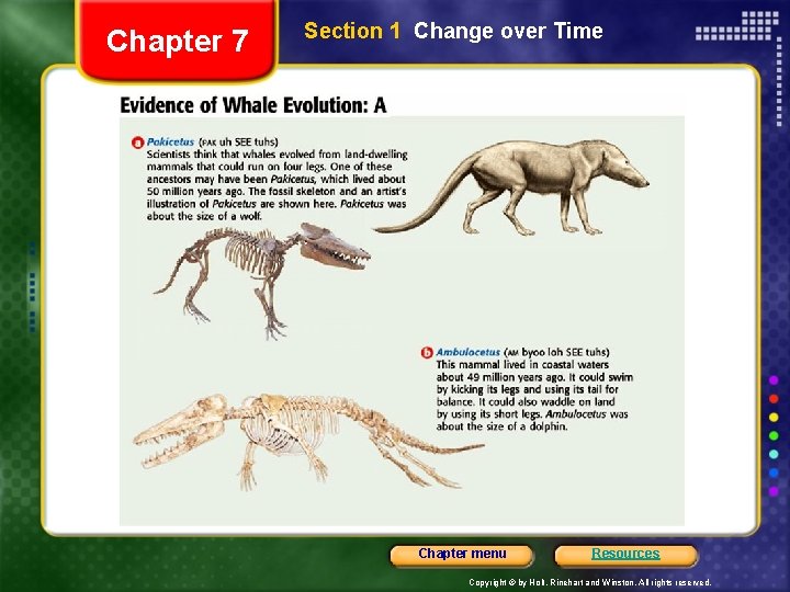 Chapter 7 Section 1 Change over Time Chapter menu Resources Copyright © by Holt,