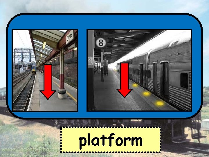tfloramp platform 
