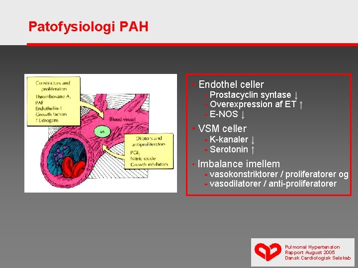Patofysiologi PAH • Endothel celler - Prostacyclin syntase ↓ - Overexpression af ET ↑