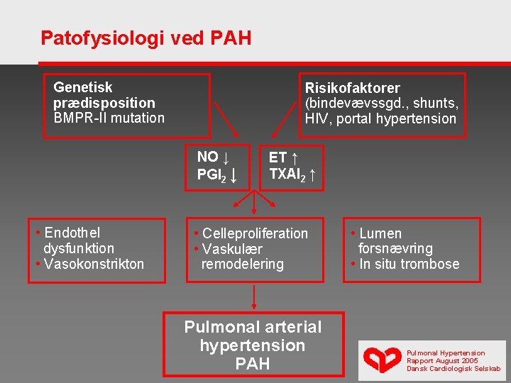 Patofysiologi ved PAH Genetisk prædisposition BMPR-II mutation Risikofaktorer (bindevævssgd. , shunts, HIV, portal hypertension
