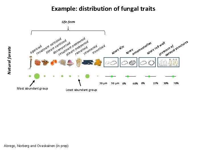 Example: distribution of fungal traits Natural forests Life-form d d roi id ioi oid