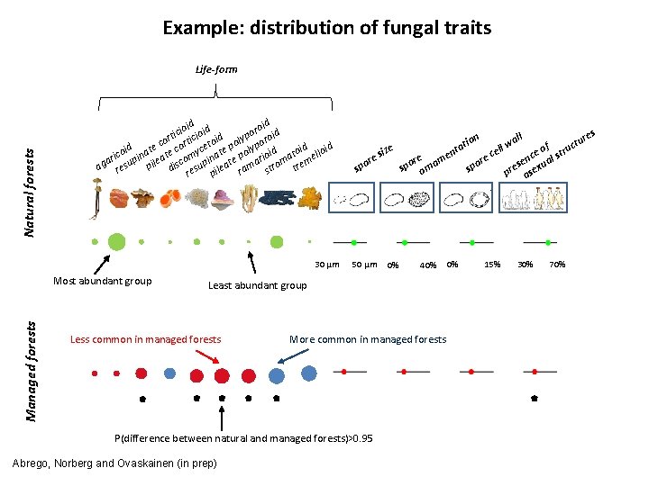 Example: distribution of fungal traits Natural forests Life-form d d roi id ioi oid
