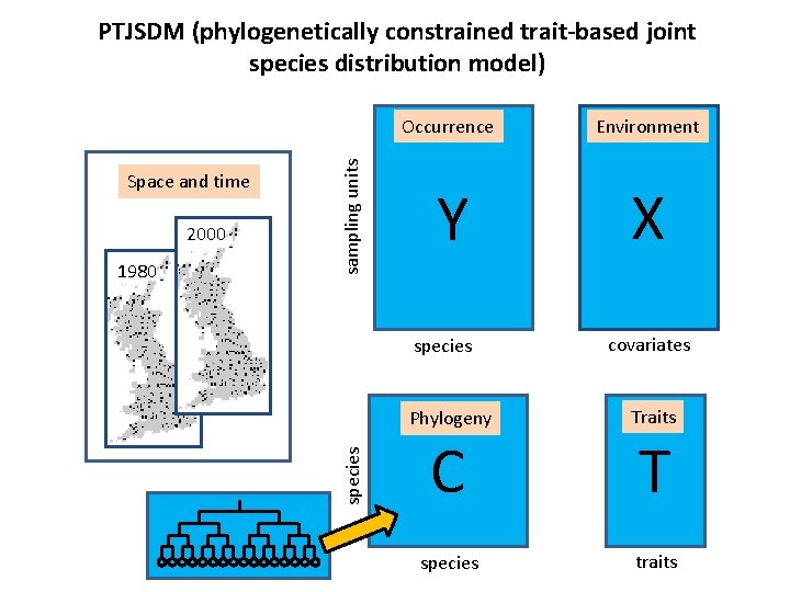 2000 1980 Occurrence Environment Y X species Space and time sampling units PTJSDM (phylogenetically
