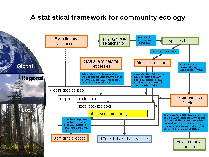 A statistical framework for community ecology phylogenetic relationships Evolutionary processes Helmus et al. 2007,