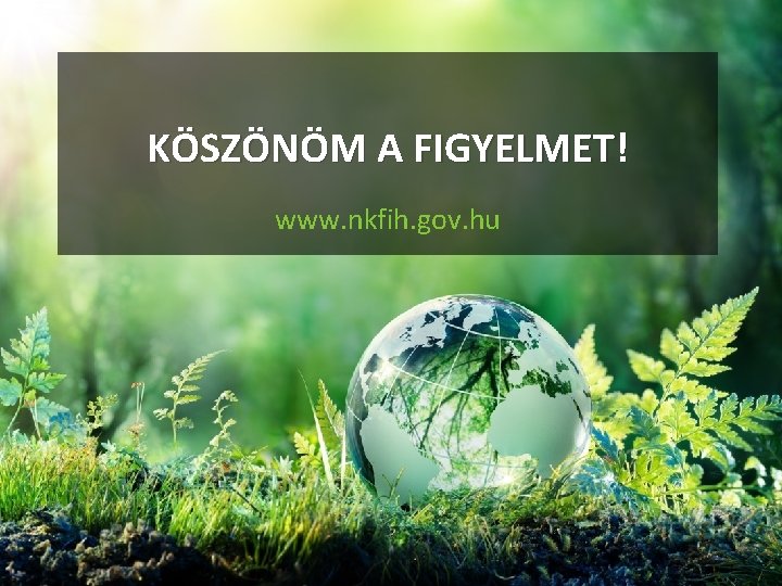 KÖSZÖNÖM A FIGYELMET! www. nkfih. gov. hu 