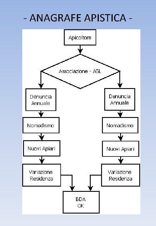 - ANAGRAFE APISTICA - 