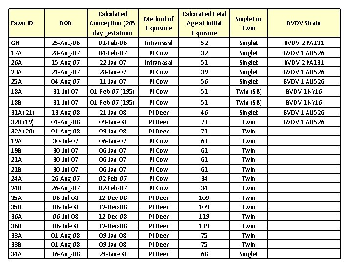 GN 17 A 26 A 23 A 25 A 18 A 25 -Aug-06 28