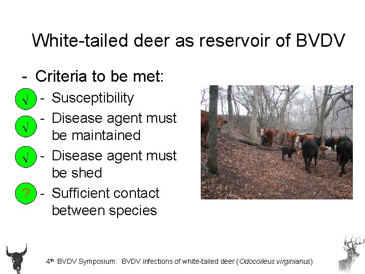 Reservoir White-tailed deer as reservoir of BVDV - Criteria to be met: √ -