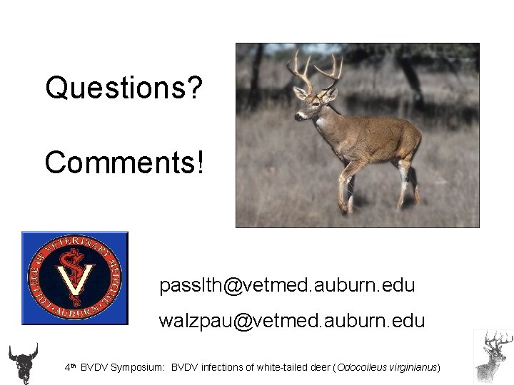 Questions? Comments! passlth@vetmed. auburn. edu walzpau@vetmed. auburn. edu 4 th BVDV Symposium: BVDV infections