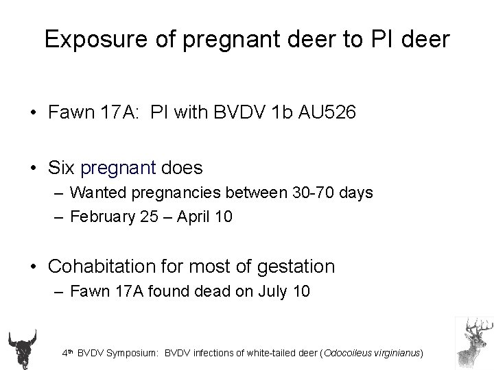 Exposure of pregnant deer to PI deer • Fawn 17 A: PI with BVDV