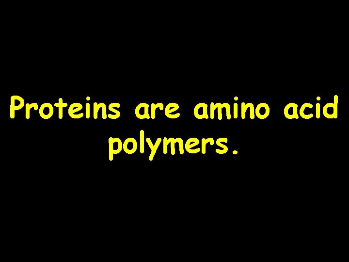 Proteins are amino acid polymers. 