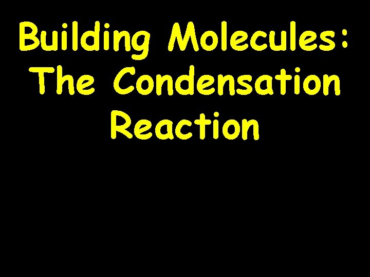 Building Molecules: The Condensation Reaction 