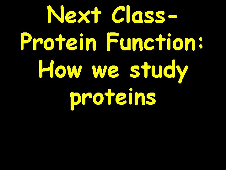 Next Class. Protein Function: How we study proteins 