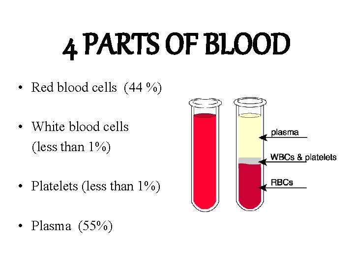 4 PARTS OF BLOOD • Red blood cells (44 %) • White blood cells