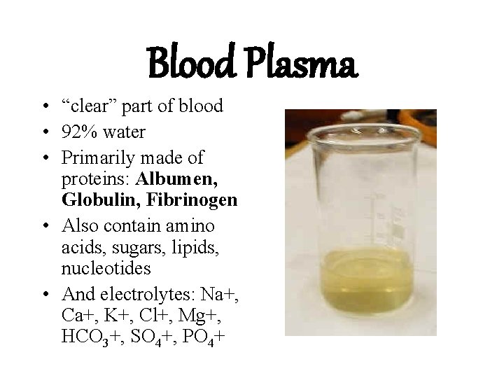 Blood Plasma • “clear” part of blood • 92% water • Primarily made of