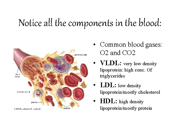 Notice all the components in the blood: • Common blood gases: O 2 and