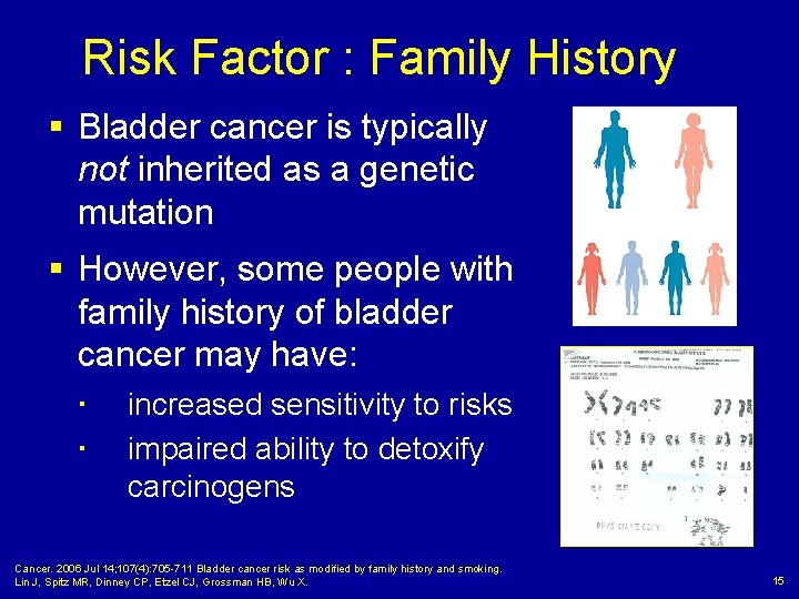 Risk Factor : Family History § Bladder cancer is typically not inherited as a