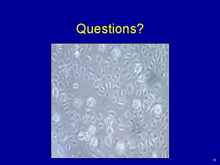 Questions? 18 
