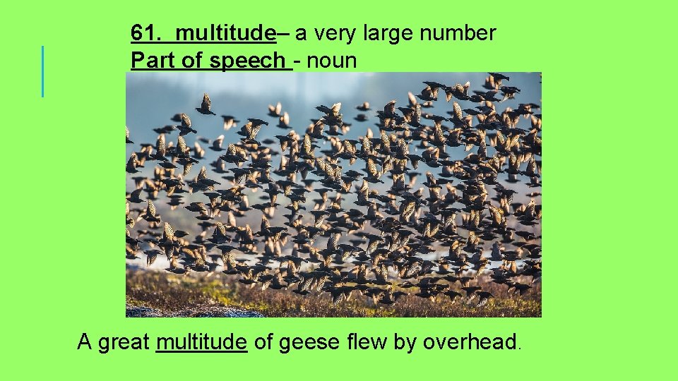 61. multitude– a very large number Part of speech - noun A great multitude