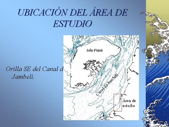 UBICACIÓN DEL ÁREA DE ESTUDIO Orilla SE del Canal de Jambelí. 