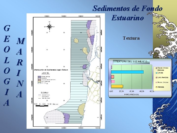 Sedimentos de Fondo Estuarino G E O L O G I A M A