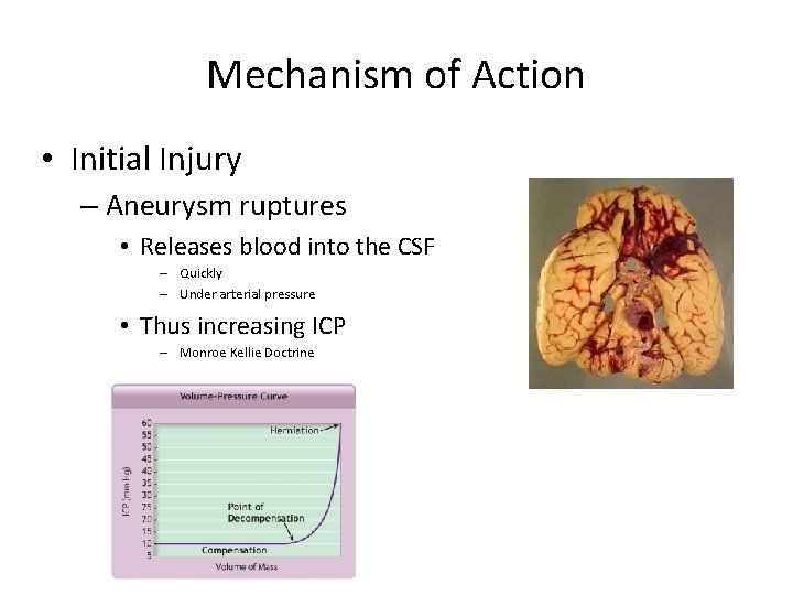 Mechanism of Action • Initial Injury – Aneurysm ruptures • Releases blood into the