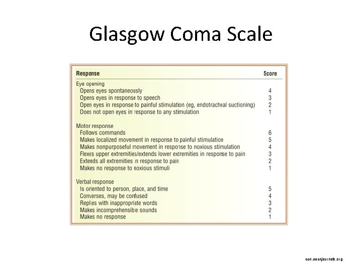 Glasgow Coma Scale ccn. aacnjournals. org 