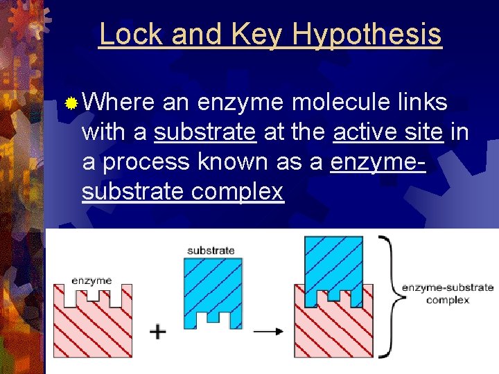 Biology chapter 2 4 Chemistry of Lifecont last