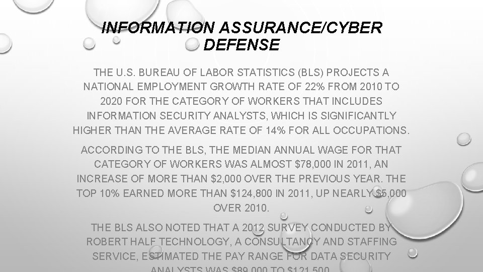 INFORMATION ASSURANCE/CYBER DEFENSE THE U. S. BUREAU OF LABOR STATISTICS (BLS) PROJECTS A NATIONAL