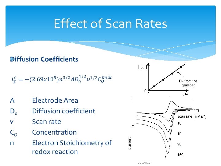 Effect of Scan Rates 